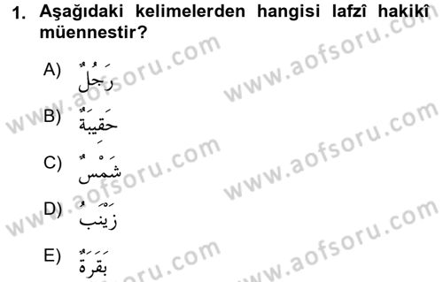 Arapça 1 Dersi 2015 - 2016 Yılı (Final) Dönem Sonu Sınav Soruları 1. Soru