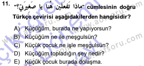 Arapça 1 Dersi 2015 - 2016 Yılı (Final) Dönem Sonu Sınav Soruları 11. Soru
