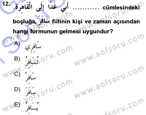 Arapça 1 Dersi 2015 - 2016 Yılı (Final) Dönem Sonu Sınav Soruları 12. Soru