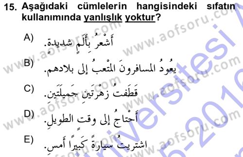 Arapça 1 Dersi 2015 - 2016 Yılı (Final) Dönem Sonu Sınav Soruları 15. Soru