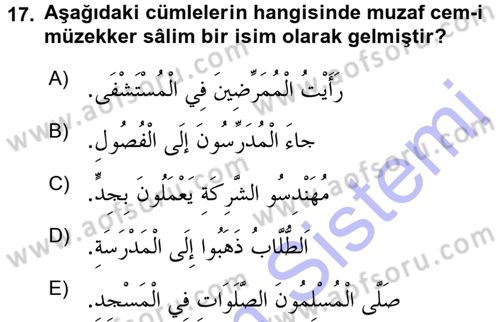 Arapça 1 Dersi 2015 - 2016 Yılı (Final) Dönem Sonu Sınav Soruları 17. Soru