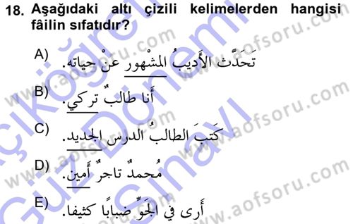 Arapça 1 Dersi 2015 - 2016 Yılı (Final) Dönem Sonu Sınav Soruları 18. Soru