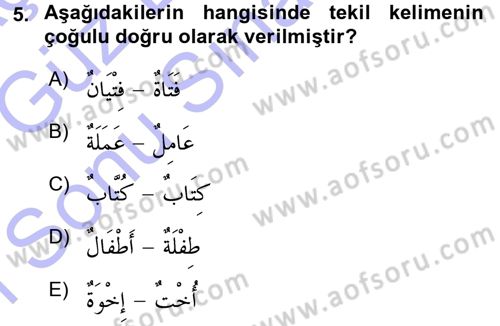 Arapça 1 Dersi 2015 - 2016 Yılı (Final) Dönem Sonu Sınav Soruları 5. Soru