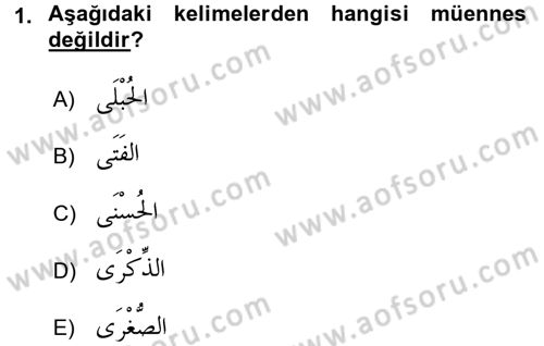 Arapça 1 Dersi 2015 - 2016 Yılı Tek Ders Sınav Soruları 1. Soru