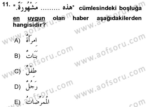Arapça 1 Dersi 2015 - 2016 Yılı Tek Ders Sınav Soruları 11. Soru