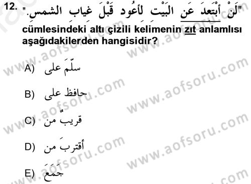 Arapça 1 Dersi 2015 - 2016 Yılı Tek Ders Sınav Soruları 12. Soru