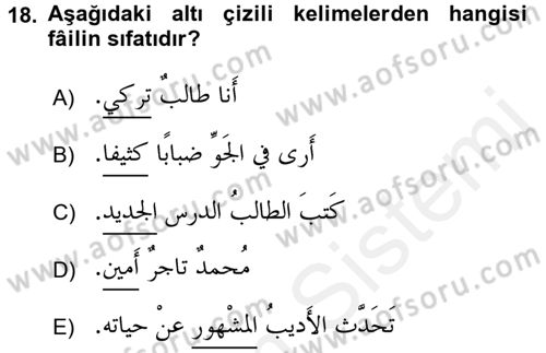 Arapça 1 Dersi 2015 - 2016 Yılı Tek Ders Sınav Soruları 18. Soru