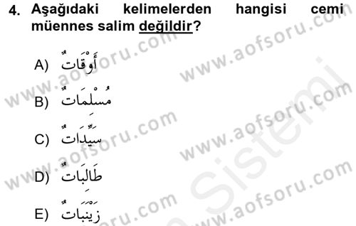 Arapça 1 Dersi 2015 - 2016 Yılı Tek Ders Sınav Soruları 4. Soru