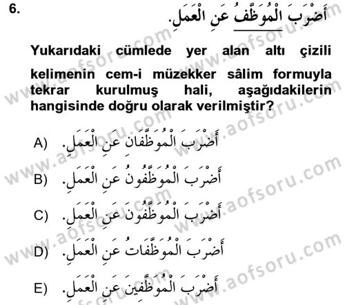Arapça 1 Dersi 2015 - 2016 Yılı Tek Ders Sınav Soruları 6. Soru