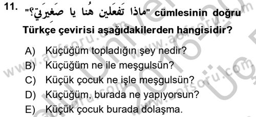 Arapça 1 Dersi 2016 - 2017 Yılı 3 Ders Sınav Soruları 11. Soru