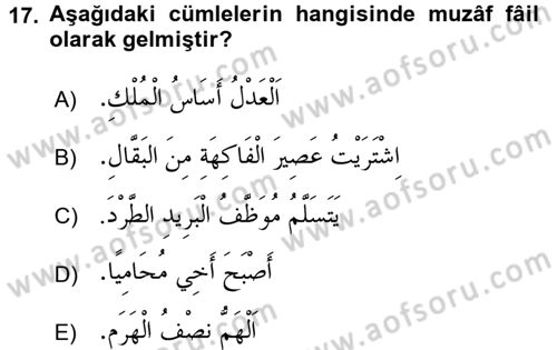 Arapça 1 Dersi 2016 - 2017 Yılı 3 Ders Sınav Soruları 17. Soru