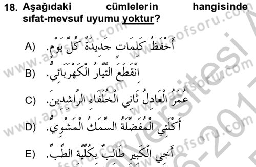 Arapça 1 Dersi 2016 - 2017 Yılı 3 Ders Sınav Soruları 18. Soru