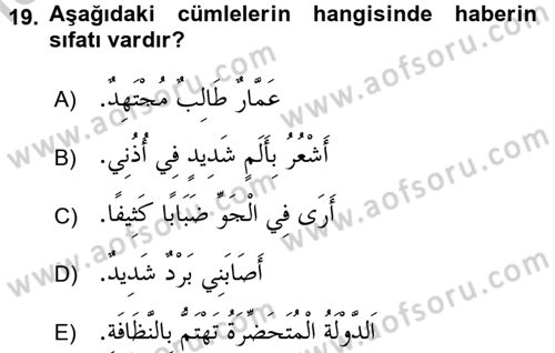 Arapça 1 Dersi 2016 - 2017 Yılı 3 Ders Sınav Soruları 19. Soru