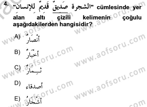 Arapça 1 Dersi 2016 - 2017 Yılı 3 Ders Sınav Soruları 4. Soru
