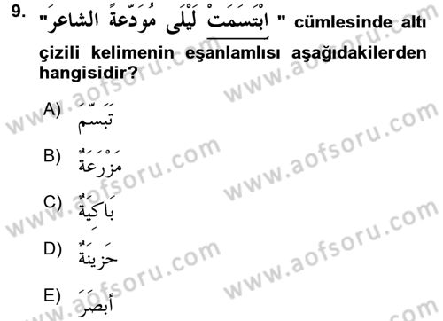Arapça 1 Dersi 2016 - 2017 Yılı 3 Ders Sınav Soruları 9. Soru