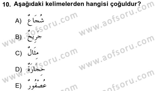 Arapça 1 Dersi 2016 - 2017 Yılı (Vize) Ara Sınav Soruları 10. Soru