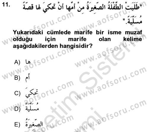 Arapça 1 Dersi Ara Sınavı Deneme Sınav Soruları 11. Soru