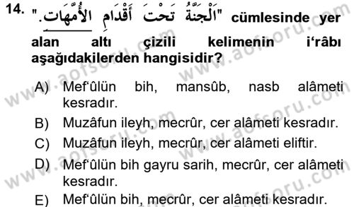 Arapça 1 Dersi 2016 - 2017 Yılı (Vize) Ara Sınavı 14. Soru