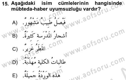Arapça 1 Dersi Ara Sınavı Deneme Sınav Soruları 15. Soru
