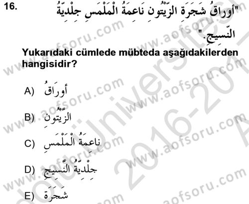 Arapça 1 Dersi Ara Sınavı Deneme Sınav Soruları 16. Soru