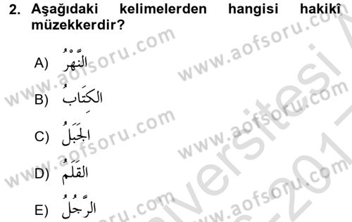 Arapça 1 Dersi Ara Sınavı Deneme Sınav Soruları 2. Soru