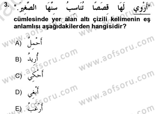 Arapça 1 Dersi 2016 - 2017 Yılı (Vize) Ara Sınav Soruları 3. Soru
