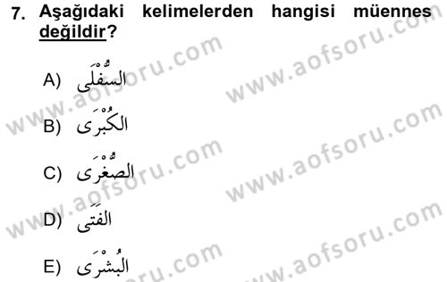 Arapça 1 Dersi 2016 - 2017 Yılı (Vize) Ara Sınav Soruları 7. Soru
