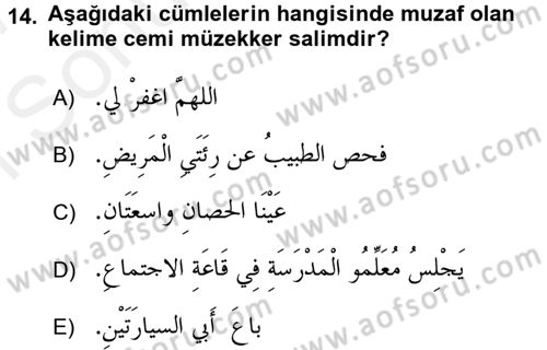 Arapça 1 Dersi 2016 - 2017 Yılı (Final) Dönem Sonu Sınav Soruları 14. Soru