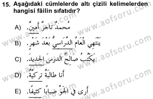 Arapça 1 Dersi 2016 - 2017 Yılı (Final) Dönem Sonu Sınav Soruları 15. Soru
