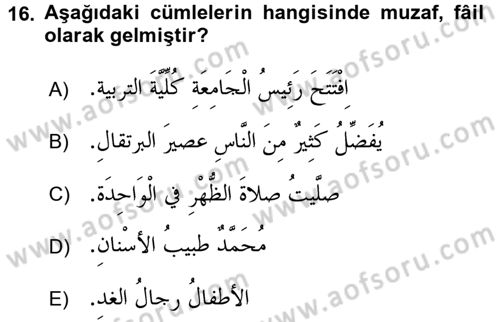 Arapça 1 Dersi 2016 - 2017 Yılı (Final) Dönem Sonu Sınav Soruları 16. Soru