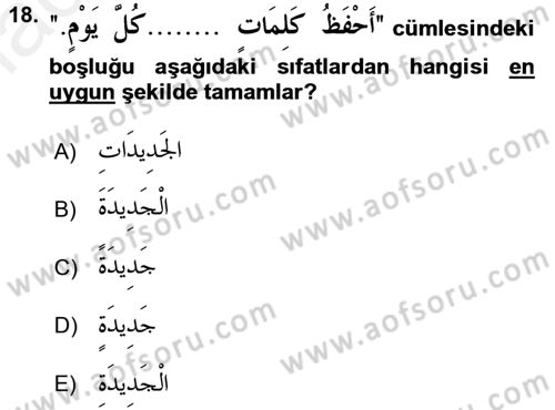 Arapça 1 Dersi 2016 - 2017 Yılı (Final) Dönem Sonu Sınav Soruları 18. Soru