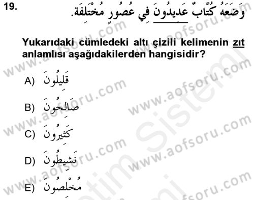 Arapça 1 Dersi 2016 - 2017 Yılı (Final) Dönem Sonu Sınav Soruları 19. Soru