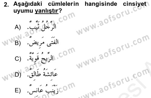 Arapça 1 Dersi 2016 - 2017 Yılı (Final) Dönem Sonu Sınav Soruları 2. Soru