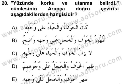 Arapça 1 Dersi 2016 - 2017 Yılı (Final) Dönem Sonu Sınav Soruları 20. Soru