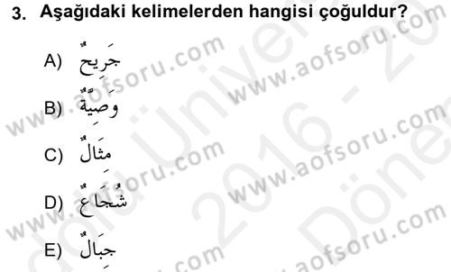 Arapça 1 Dersi 2016 - 2017 Yılı (Final) Dönem Sonu Sınav Soruları 3. Soru