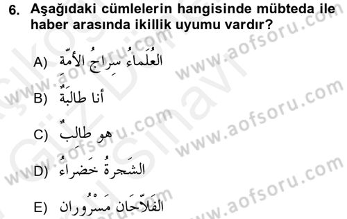Arapça 1 Dersi 2016 - 2017 Yılı (Final) Dönem Sonu Sınav Soruları 6. Soru