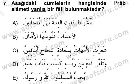 Arapça 1 Dersi 2016 - 2017 Yılı (Final) Dönem Sonu Sınav Soruları 7. Soru