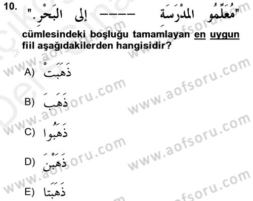 Arapça 1 Dersi 2017 - 2018 Yılı 3 Ders Sınav Soruları 10. Soru