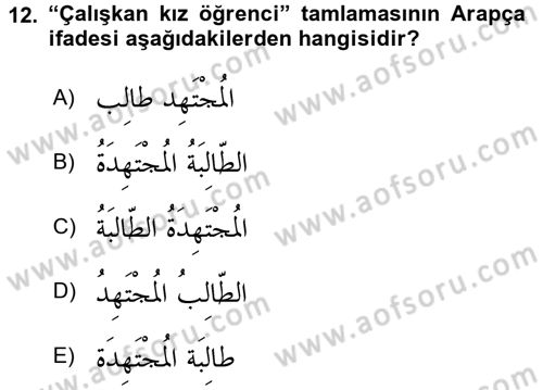 Arapça 1 Dersi 2017 - 2018 Yılı 3 Ders Sınav Soruları 12. Soru
