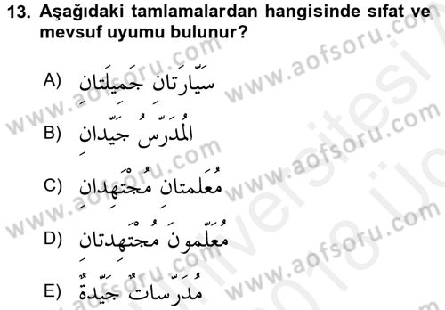 Arapça 1 Dersi 2017 - 2018 Yılı 3 Ders Sınav Soruları 13. Soru