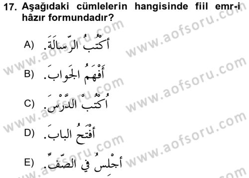 Arapça 1 Dersi 2017 - 2018 Yılı 3 Ders Sınav Soruları 17. Soru