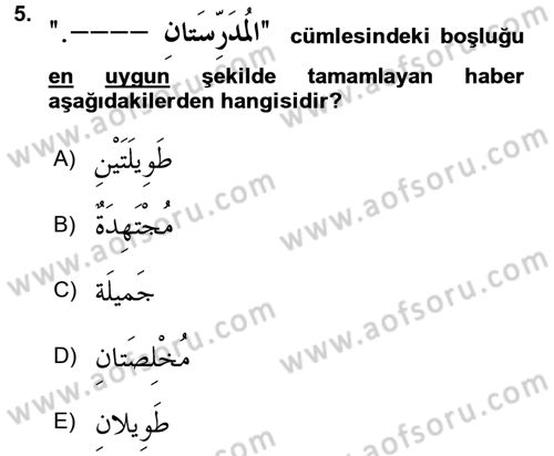 Arapça 1 Dersi 2017 - 2018 Yılı 3 Ders Sınav Soruları 5. Soru