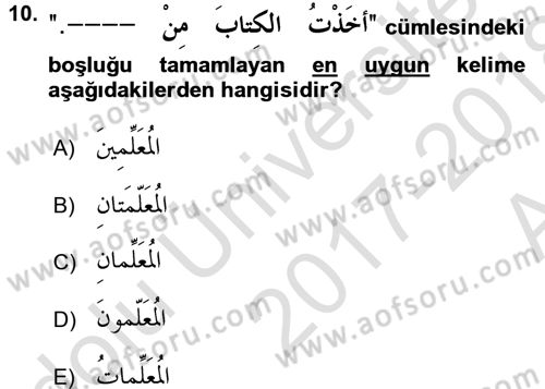 Arapça 1 Dersi Ara Sınavı Deneme Sınav Soruları 10. Soru