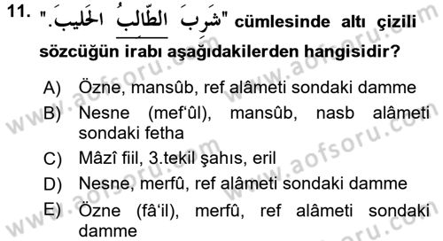 Arapça 1 Dersi Ara Sınavı Deneme Sınav Soruları 11. Soru