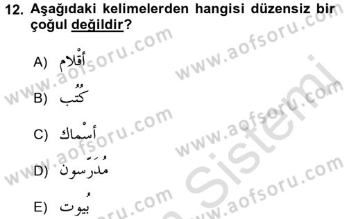Arapça 1 Dersi Ara Sınavı Deneme Sınav Soruları 12. Soru