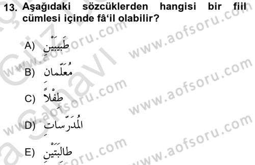 Arapça 1 Dersi 2017 - 2018 Yılı (Vize) Ara Sınav Soruları 13. Soru