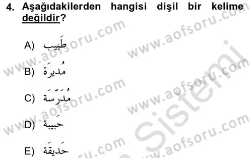 Arapça 1 Dersi Ara Sınavı Deneme Sınav Soruları 4. Soru