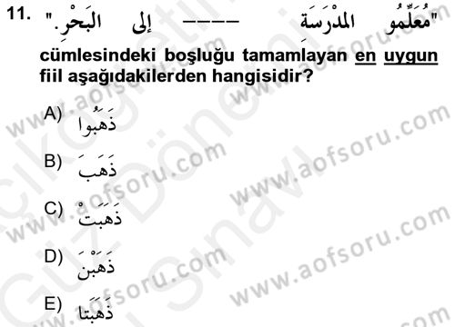 Arapça 1 Dersi 2017 - 2018 Yılı (Final) Dönem Sonu Sınav Soruları 11. Soru