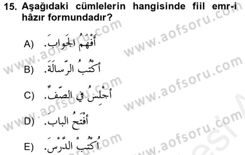 Arapça 1 Dersi 2017 - 2018 Yılı (Final) Dönem Sonu Sınav Soruları 15. Soru