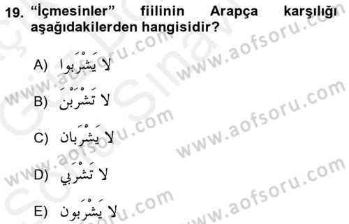 Arapça 1 Dersi 2017 - 2018 Yılı (Final) Dönem Sonu Sınav Soruları 19. Soru